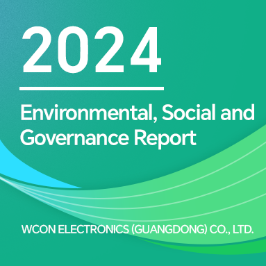BERICHT ZU UMWELT, SOZIALES UND UNTERNEHMENSFÜHRUNG (ESG)